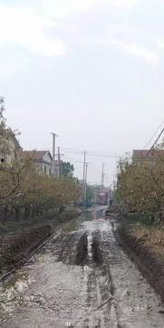 赵县爆料最新,揭秘当地最新热点事件！